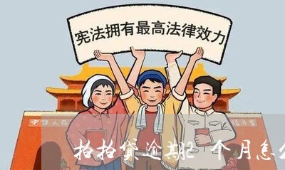 拍拍贷逾期2个月怎么处理/2023060551935