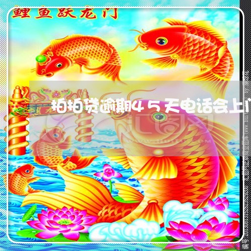 拍拍贷逾期45天电话会上门吗/2023110171583