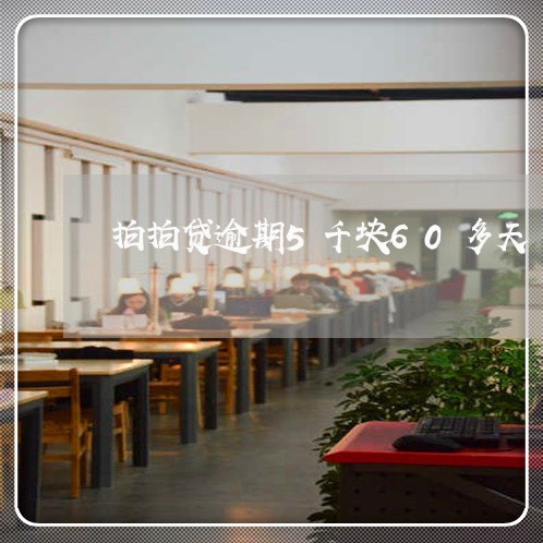 拍拍贷逾期5千块60多天 拍拍贷逾期5千块60多天