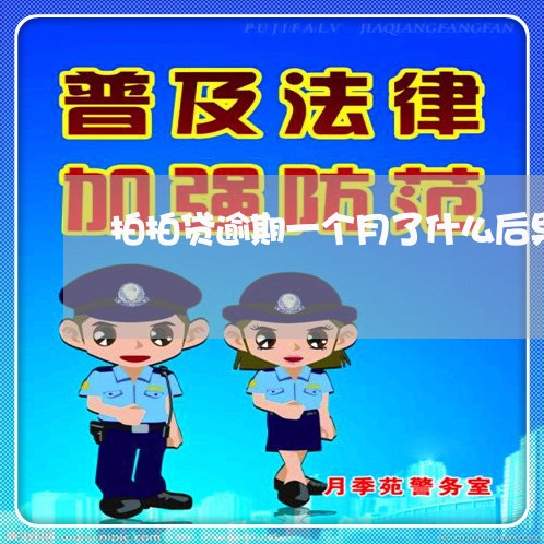 拍拍贷逾期一个月了什么后果