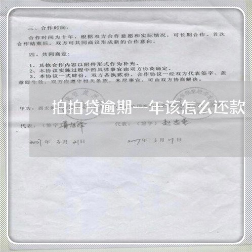 拍拍贷逾期一年该怎么还款