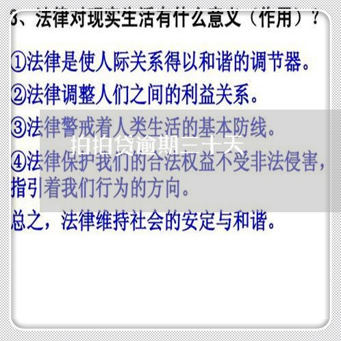 拍拍贷逾期三十天/2023020194269 拍拍贷逾期三十天/2023020194269