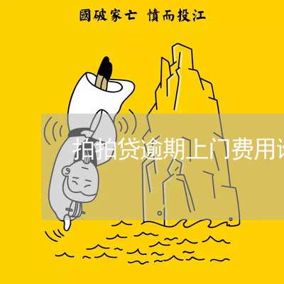 拍拍贷逾期上门费用谁承担 拍拍贷逾期上门费用谁承担