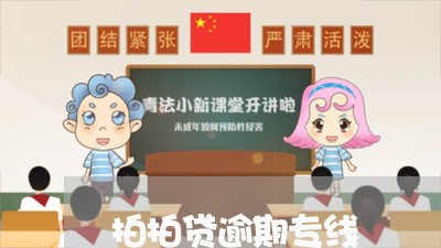 拍拍贷逾期专线/2023071417061