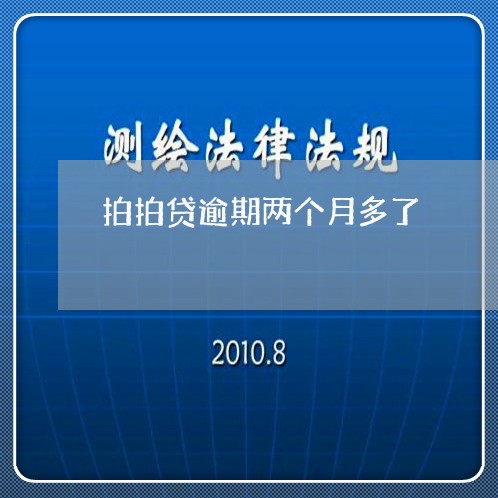 拍拍贷逾期两个月多了/2023031709715