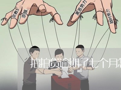 拍拍贷逾期了七个月怎么办