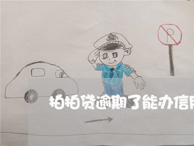 拍拍贷逾期了能办信用卡吗