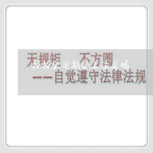 拍拍贷逾期会上法庭吗