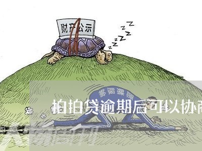 拍拍贷逾期后可以协商吗/2023061805937