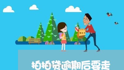 拍拍贷逾期后要走/2023031748168