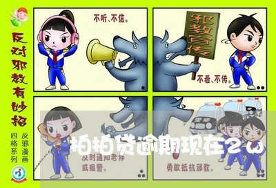 拍拍贷逾期现在2w/2023020470785 拍拍贷逾期现在2w/2023020470785