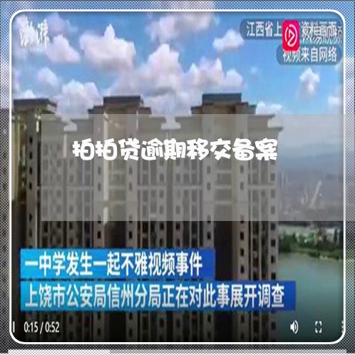 拍拍贷逾期移交备案/2023020400704