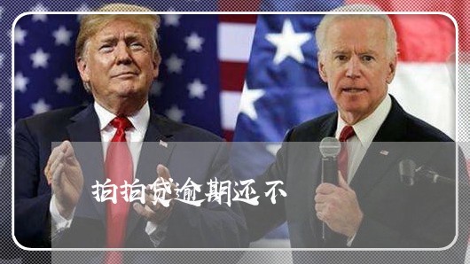 拍拍贷逾期还不/2023071413726