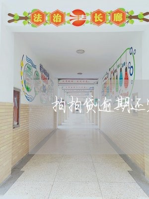 拍拍贷逾期还完了没额度怎么办/2023062905340