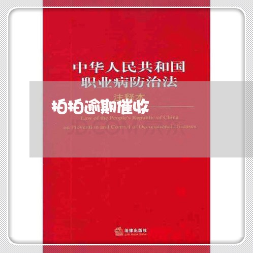 拍拍逾期催收