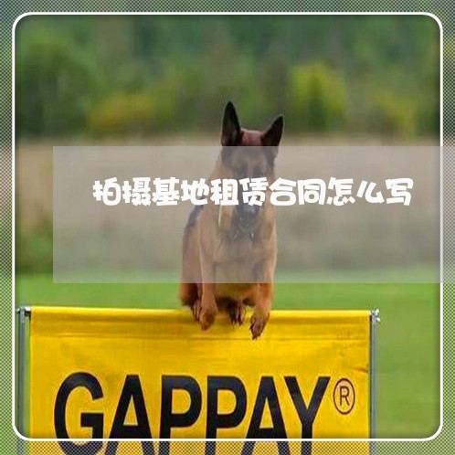 拍摄基地租赁合同怎么写/2023041286959