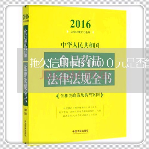 拖欠信用卡5000元是否能立案 拖欠信用卡5000元是否能立案