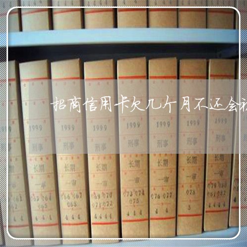 招商信用卡欠几个月不还会被起诉 招商信用卡欠几个月不还会被起诉
