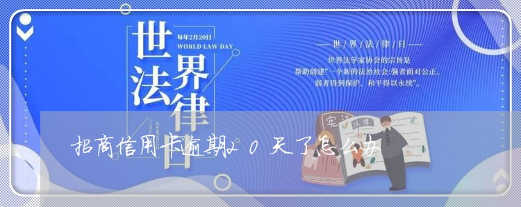 招商信用卡逾期20天了怎么办 招商信用卡逾期20天了怎么办
