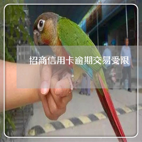 招商信用卡逾期交易受限 招商信用卡逾期交易受限