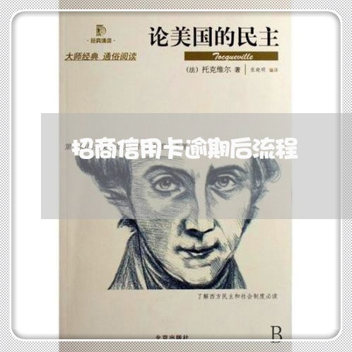 招商信用卡逾期后流程/2023061724937