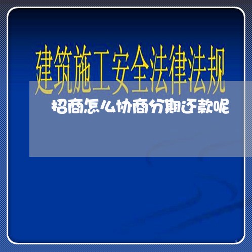 招商怎么协商分期还款呢/2023110906826