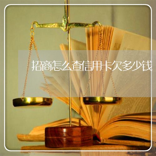 招商怎么查信用卡欠多少钱 招商怎么查信用卡欠多少钱