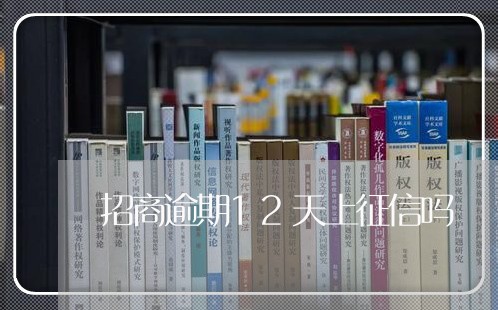 招商逾期12天上征信吗/2023030226612