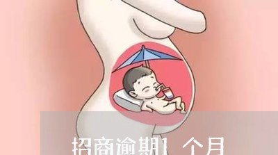 招商逾期1个月