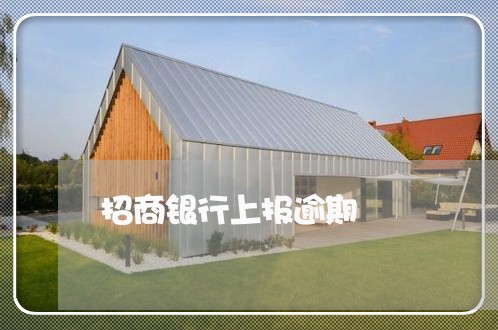 招商银行上报逾期