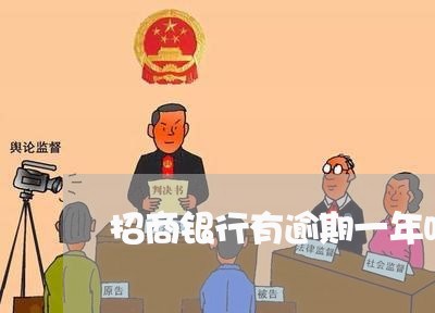 招商银行有逾期一年吗