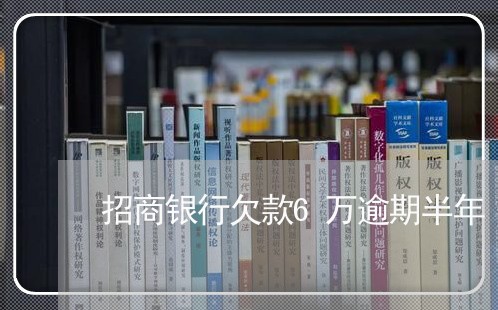 招商银行欠款6万逾期半年/2023103161403