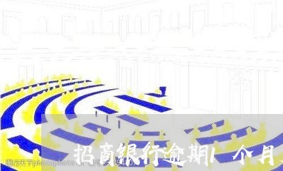 招商银行逾期1个月后还清/2023062827068