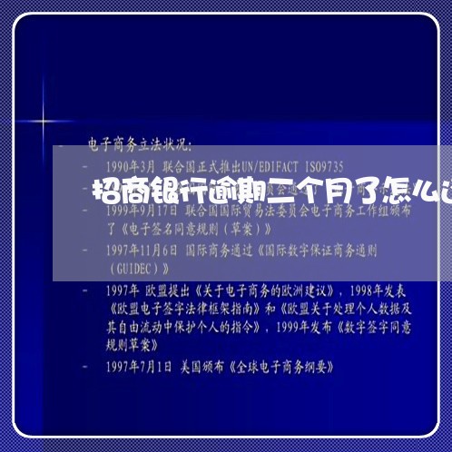 招商银行逾期二个月了怎么还款/2023110183915