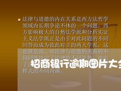 招商银行逾期图片大全真实/2023062804269