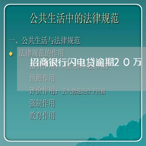 招商银行闪电贷逾期20万/2023032427049