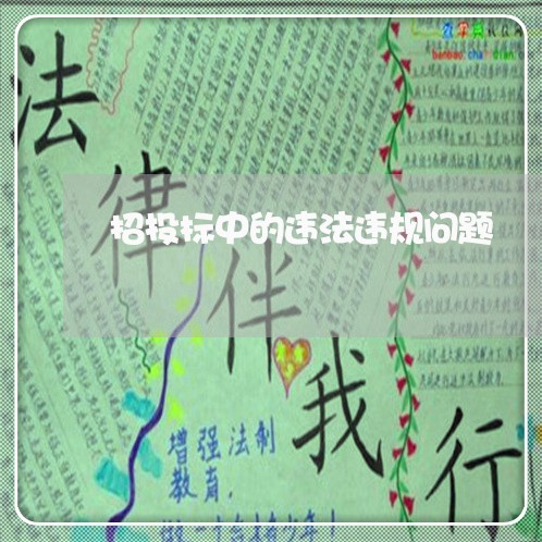 招投标中的违法违规问题