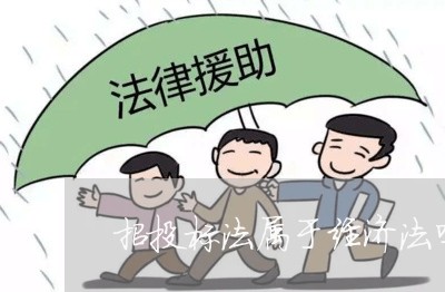 招投标法属于经济法吗