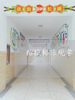 招投标法规学习心得教学文案