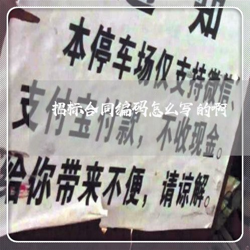 招标合同编码怎么写的啊/2023011697257 招标合同编码怎么写的啊/2023011697257