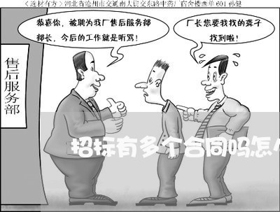 招标有多个合同吗怎么写/2023040437252