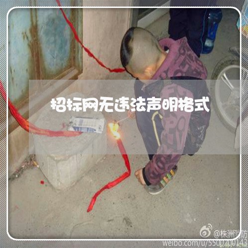 招标网无违法声明格式