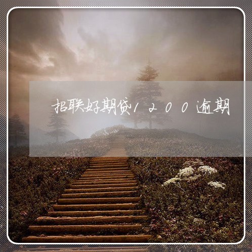 招联好期贷1200逾期