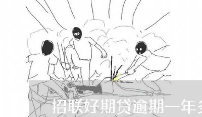 招联好期贷逾期一年多