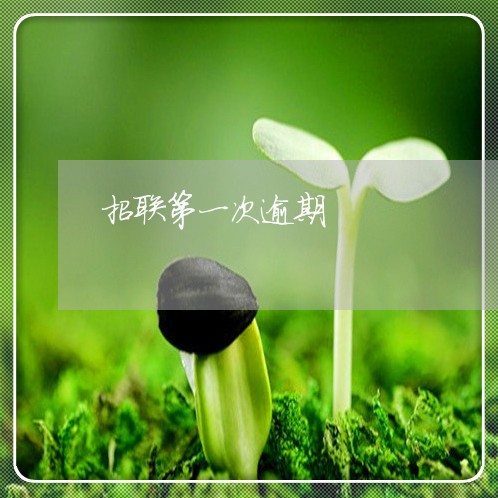 招联第一次逾期