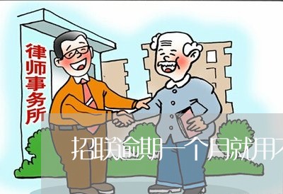 招联逾期一个月就用不成了 招联逾期一个月就用不成了