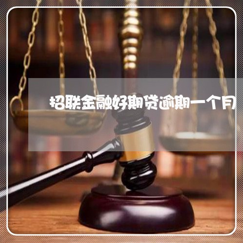 招联金融好期贷逾期一个月 招联金融好期贷逾期一个月