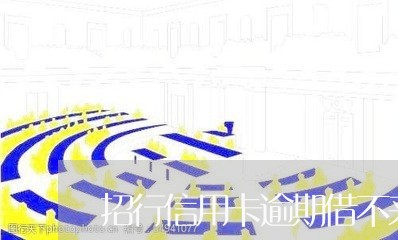 招行信用卡逾期借不来了/2023041081846