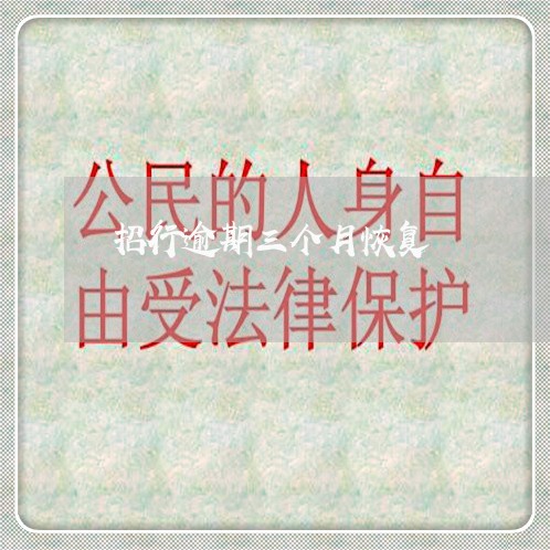 招行逾期三个月恢复
