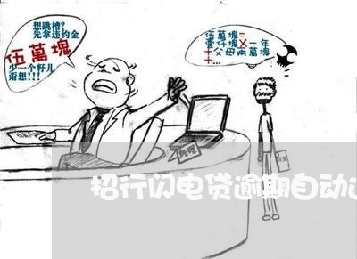 招行闪电贷逾期自动还款/2023120995028